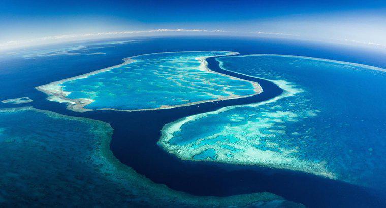 Quelle est la longueur de la Grande Barrière de Corail ?