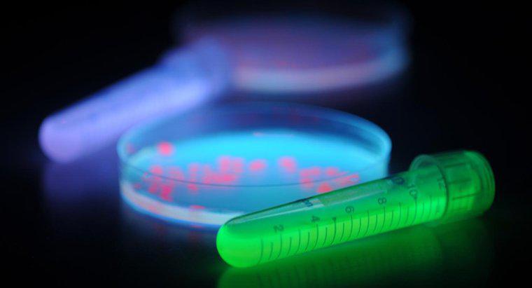 Comment les ampoules UV inhibent-elles la croissance bactérienne ?