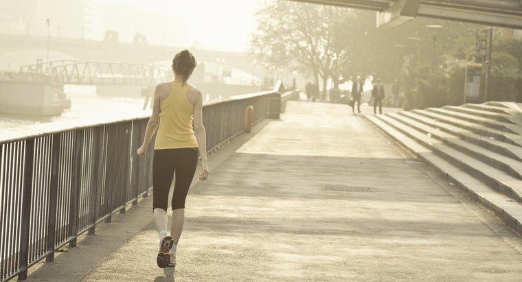 Combien de calories pouvez-vous brûler en marchant 8 miles ?