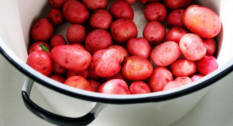 Combien de temps faut-il faire bouillir les pommes de terre rouges ?