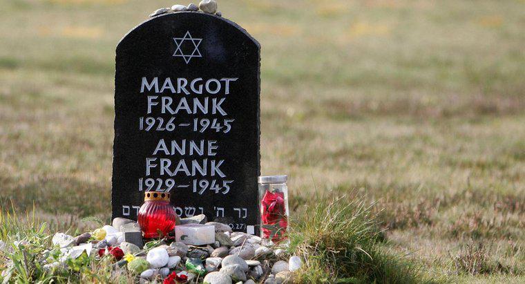Quelles ont été les principales réalisations d'Anne Frank ?