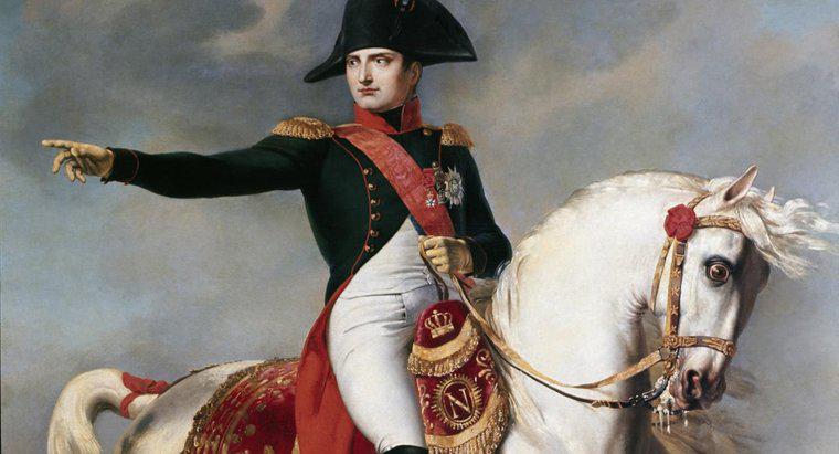 Quel but de la révolution Napoléon a-t-il atteint ?
