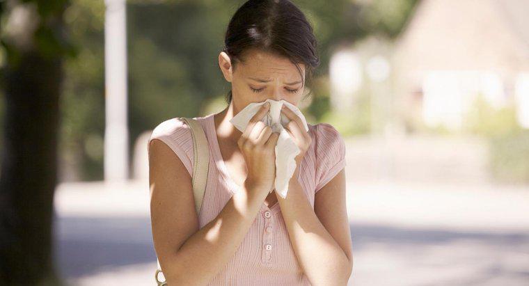 Les allergies saisonnières peuvent-elles vous donner le vertige ?