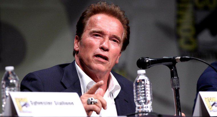 Combien pourrait Arnold Schwarzenegger Bench Press?