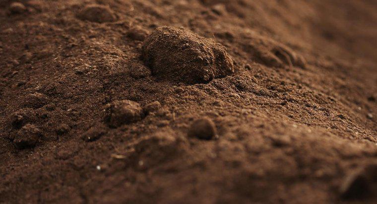 Quels sont les différents types de sol ?