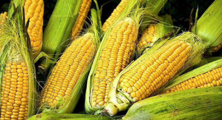 Le maïs est-il un amidon ou un légume ?