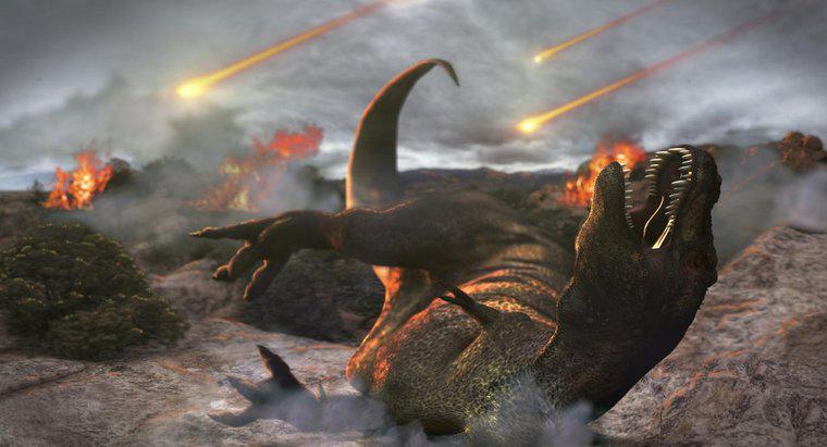 Quelles ont été les cinq extinctions de masse dans l'histoire de la Terre ?