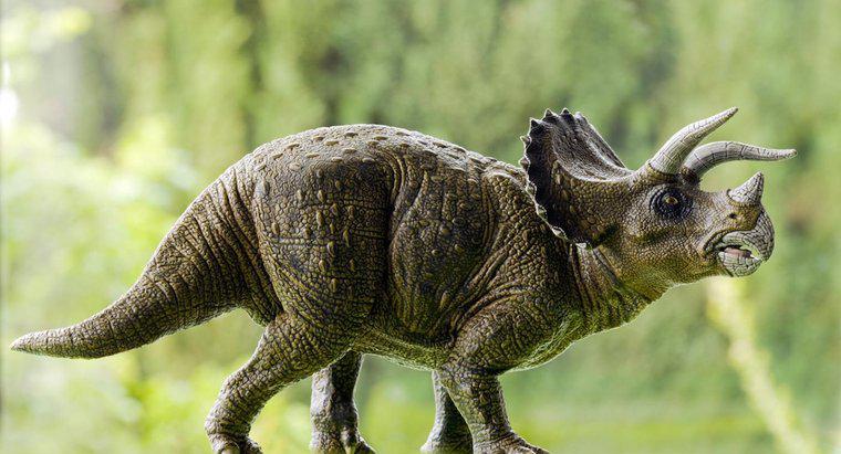 Qu'est-ce que le tricératops a mangé?