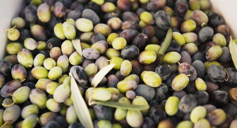 Les olives crues sont-elles toxiques ?