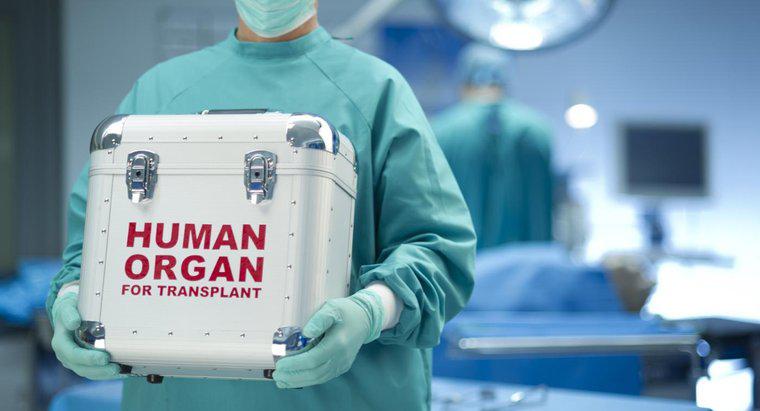 Quand la transplantation cardiaque a-t-elle été inventée ?
