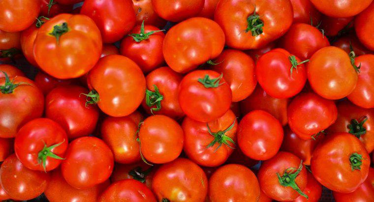 Quand les tomates sont-elles de saison ?