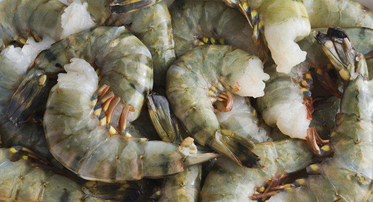 Comment cuisiner les crevettes tigrées ?