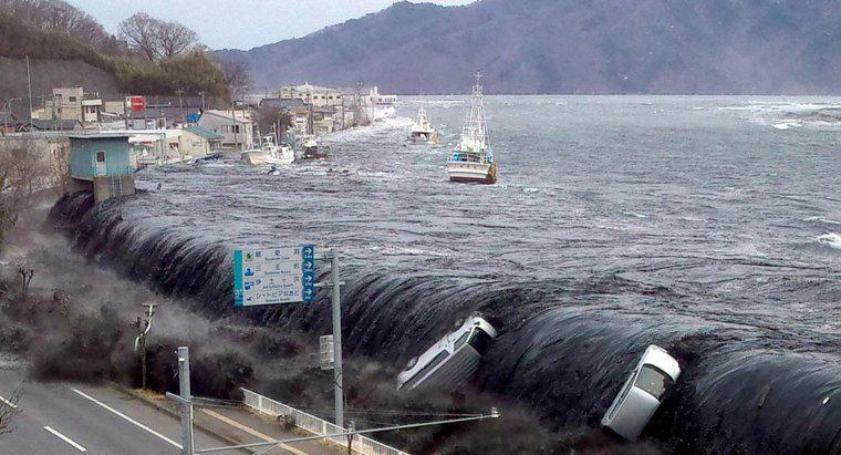 Comment commence un tsunami ?