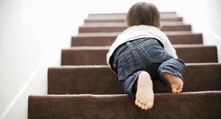 Combien y a-t-il de marches dans une volée d'escaliers ?