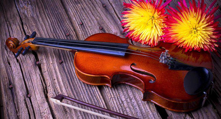 Quels sont les faits intéressants sur le violon ?
