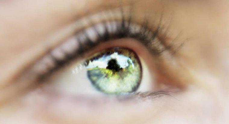 Quelles sont les causes des flotteurs noirs dans les yeux?