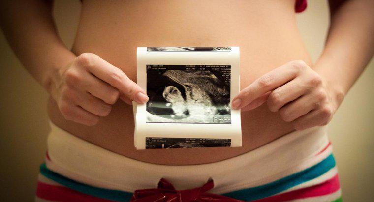 Quelle est la taille de mon utérus à 13 semaines ?