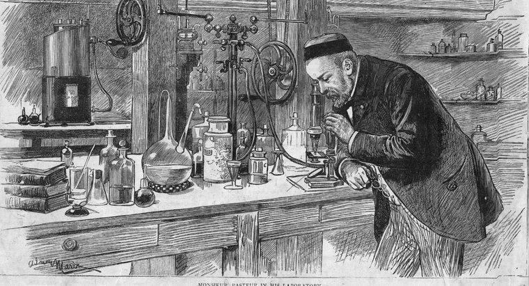Qu'a découvert Louis Pasteur ?