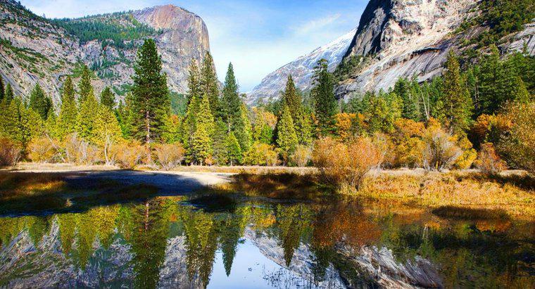 Quel État a le plus de parcs nationaux ?